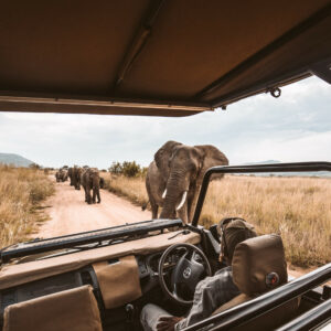 7 Nights in Cape Town