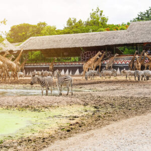 7-Night Bangkok Getaway with Safari World Experience