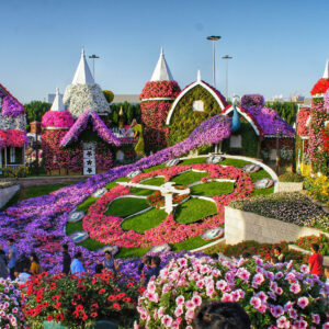 Miracle Garden