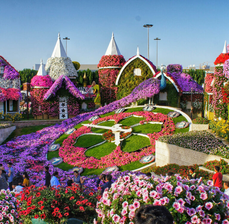 Miracle Garden