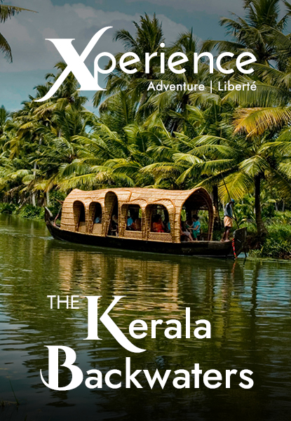 Kerala The Backwaters and Bloom
